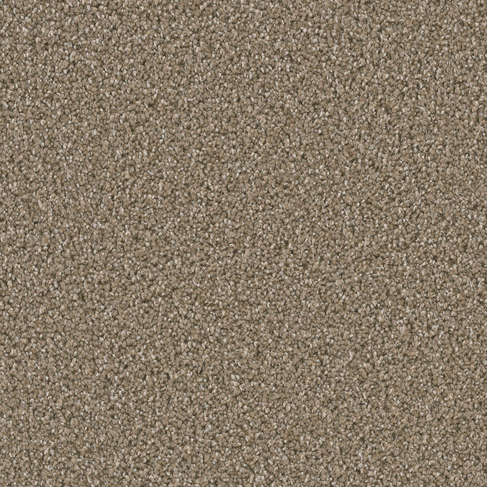 DreamWeaver - Dazzling - Carpet