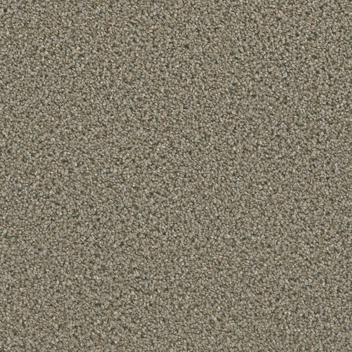 DreamWeaver - Dazzling - Carpet
