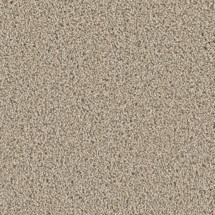DreamWeaver - Dazzling - Carpet