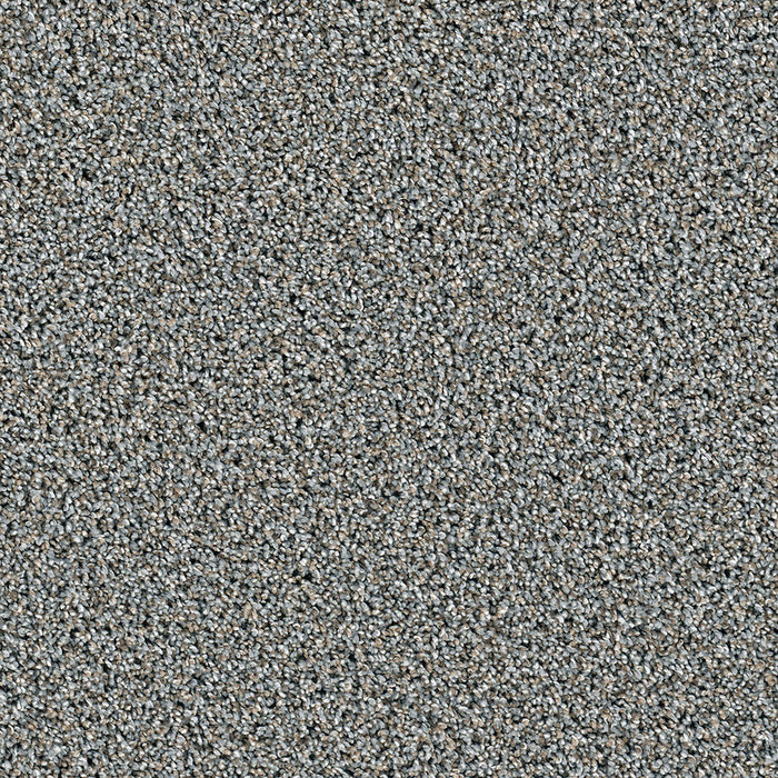 DreamWeaver - Dazzling - Carpet