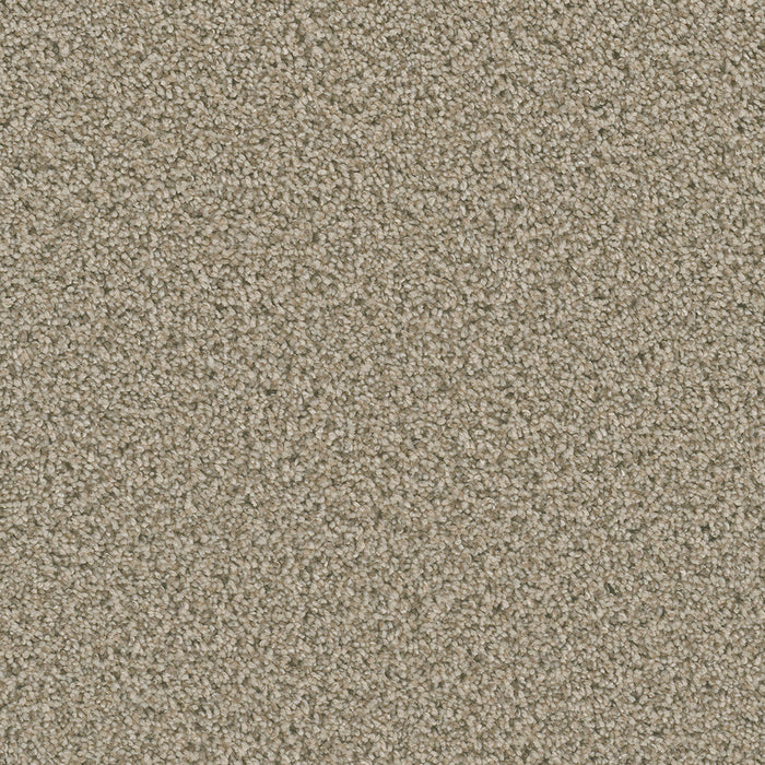 DreamWeaver - Dazzling - Carpet