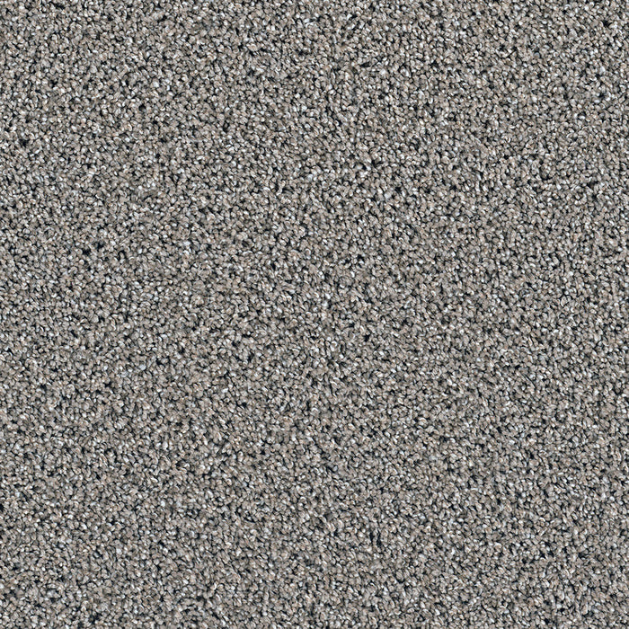 DreamWeaver - Dazzling - Carpet