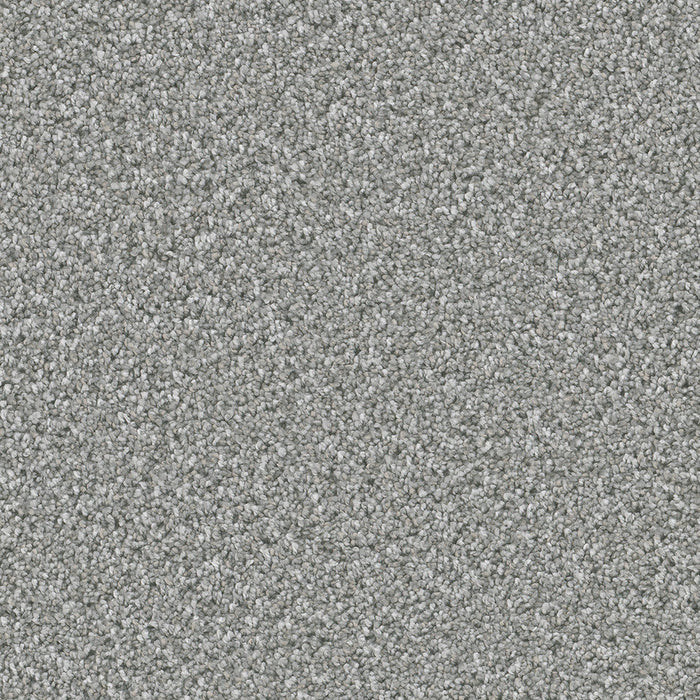 DreamWeaver - Dazzling - Carpet