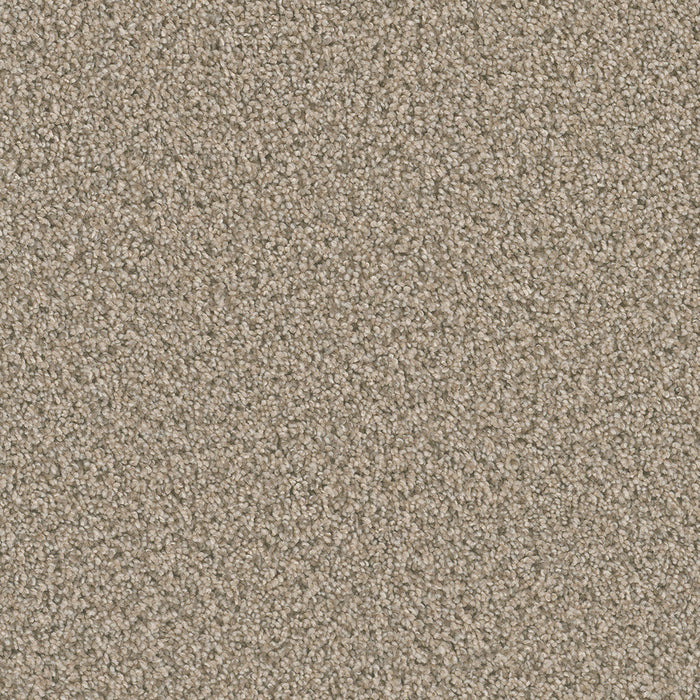 DreamWeaver - Dazzling - Carpet