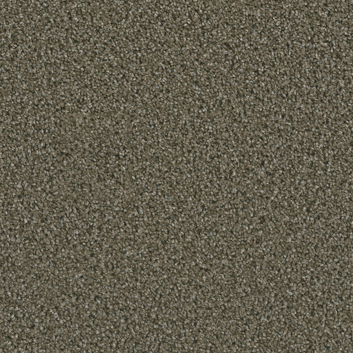DreamWeaver - Dazzling - Carpet