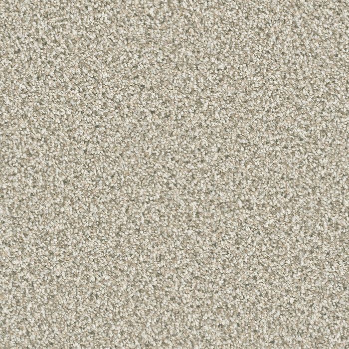 DreamWeaver - Dazzling - Carpet