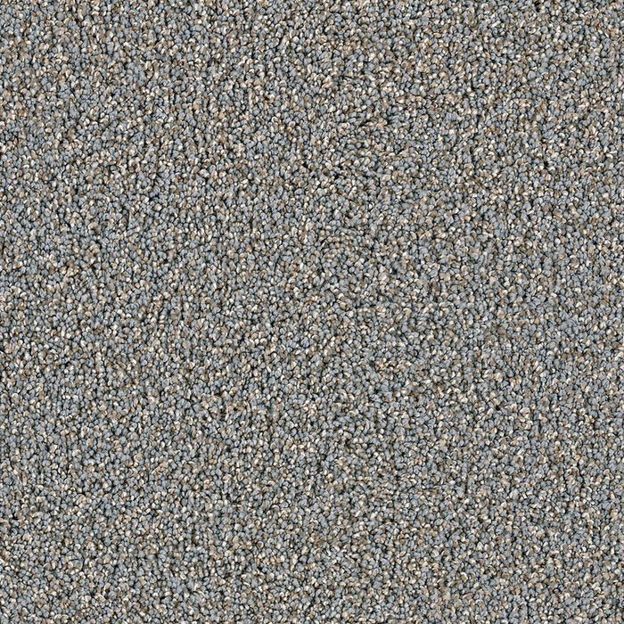 DreamWeaver - Dazzling - Carpet