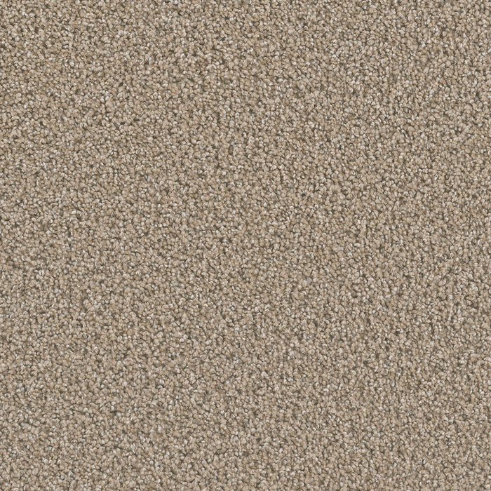 DreamWeaver - Dazzling - Carpet