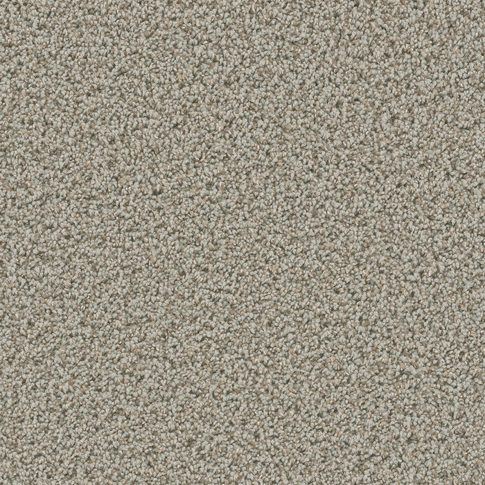 DreamWeaver - Dazzling - Carpet