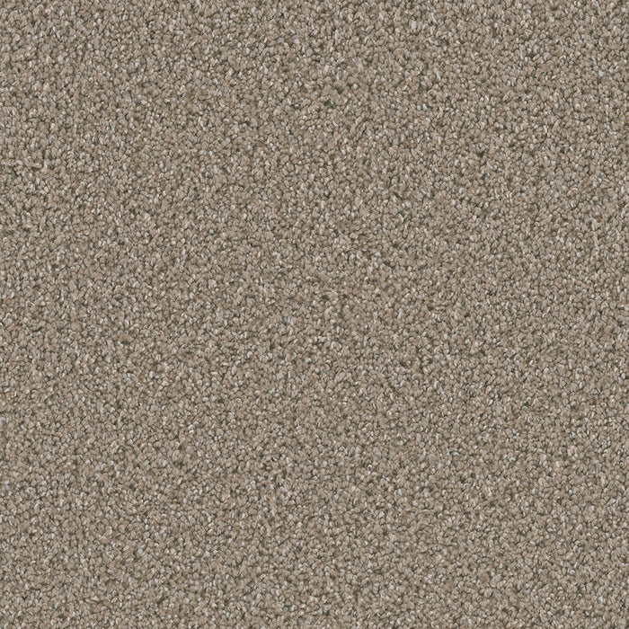 DreamWeaver - Dazzling - Carpet