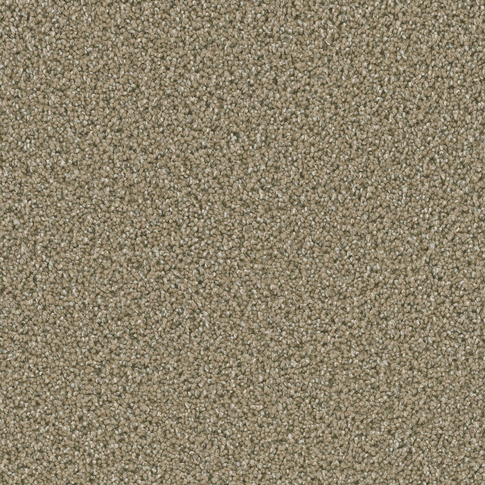 DreamWeaver - Dazzling - Carpet