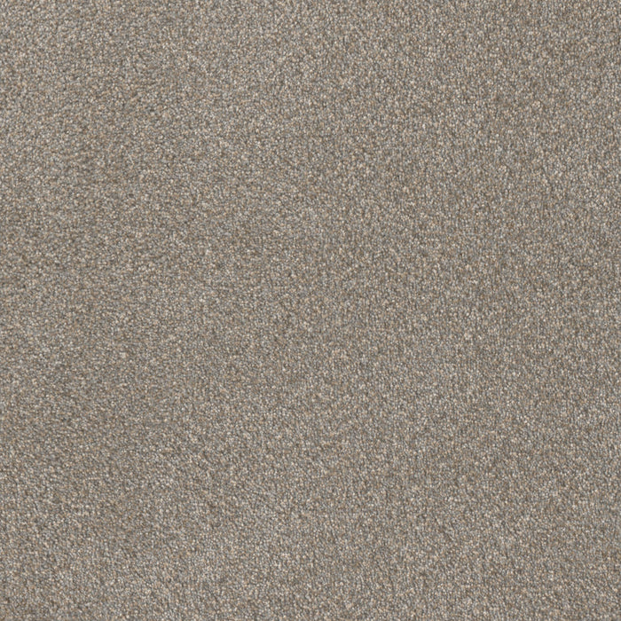 DreamWeaver - East Hampton - Carpet
