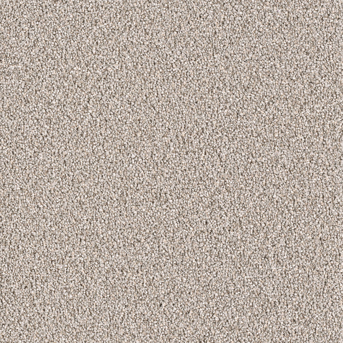DreamWeaver - East Hampton - Carpet