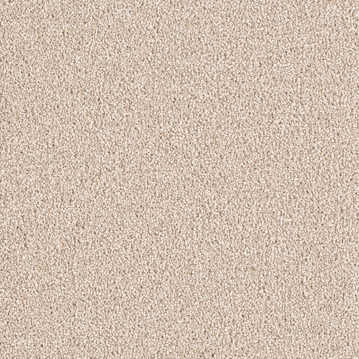 DreamWeaver - East Hampton - Carpet