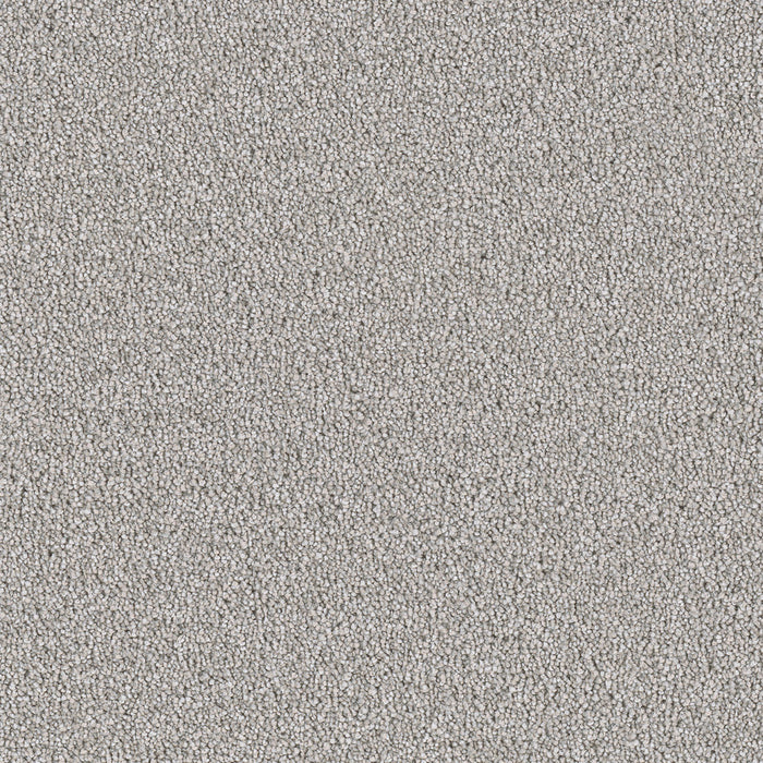 DreamWeaver - East Hampton - Carpet