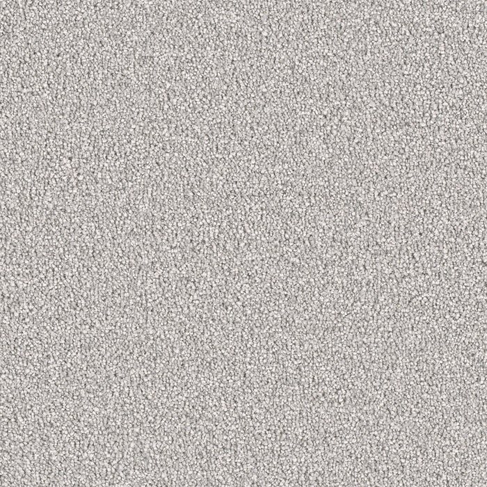 DreamWeaver - East Hampton - Carpet