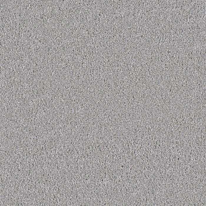 DreamWeaver - East Hampton - Carpet