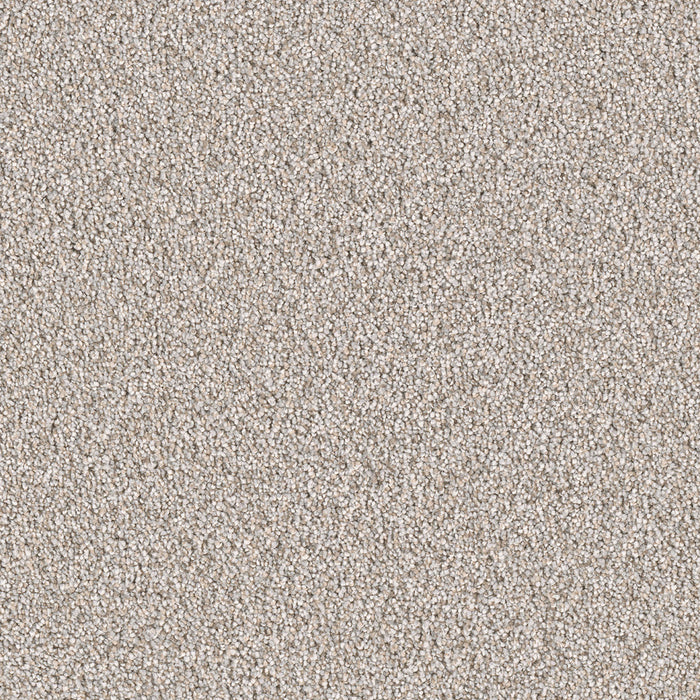 DreamWeaver - East Hampton - Carpet