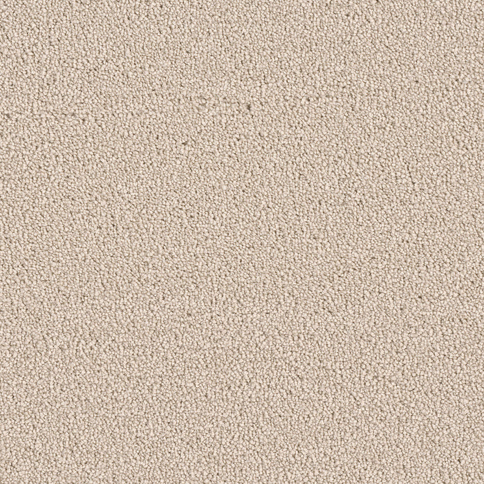 DreamWeaver - East Hampton - Carpet