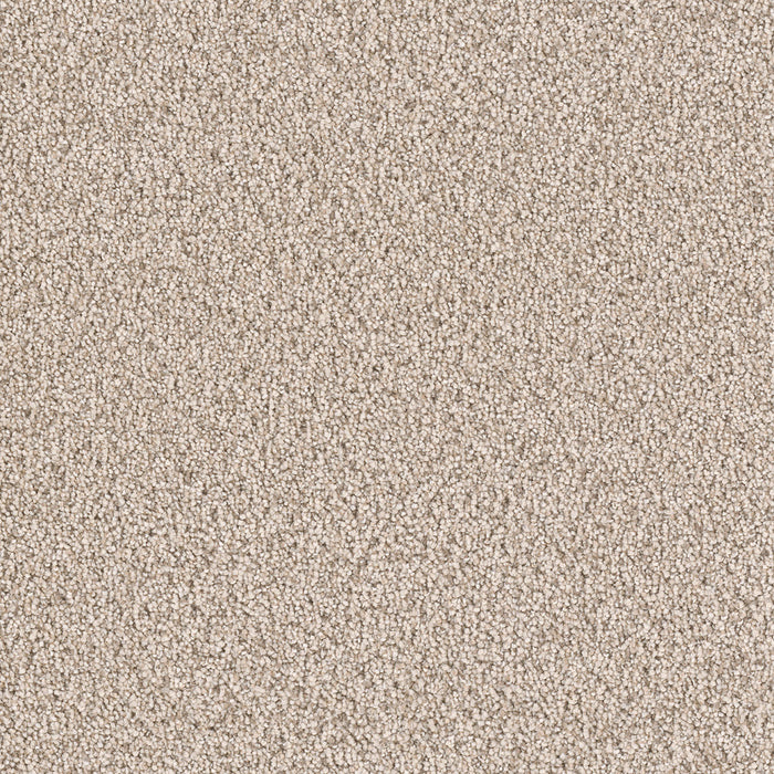 DreamWeaver - East Hampton - Carpet