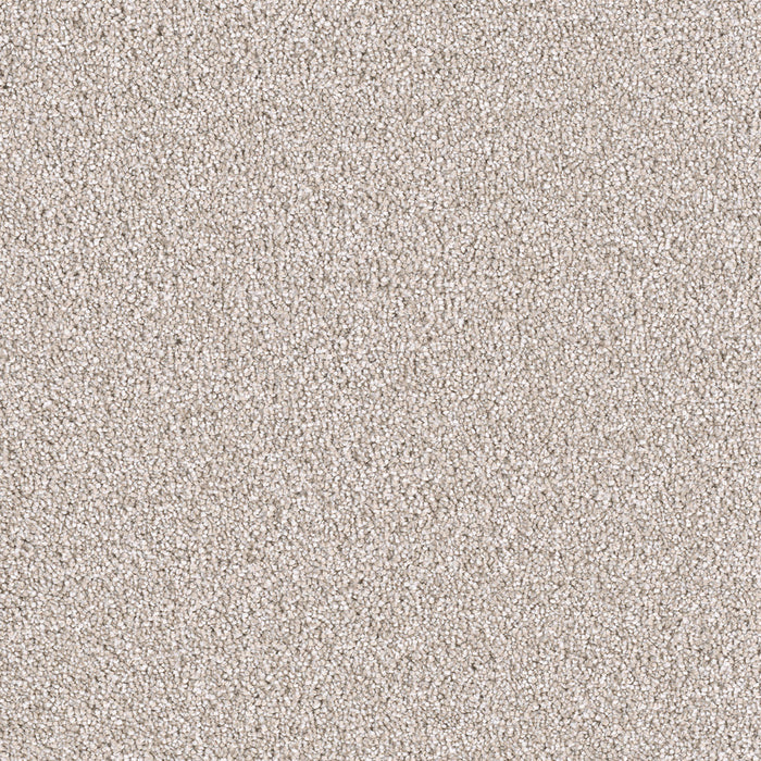 DreamWeaver - East Hampton - Carpet