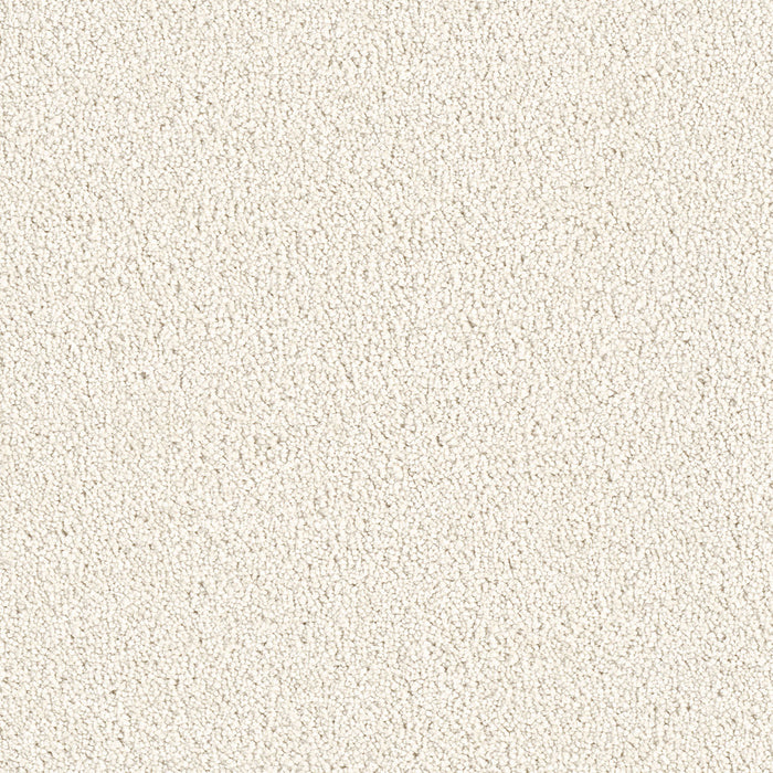 DreamWeaver - East Hampton - Carpet