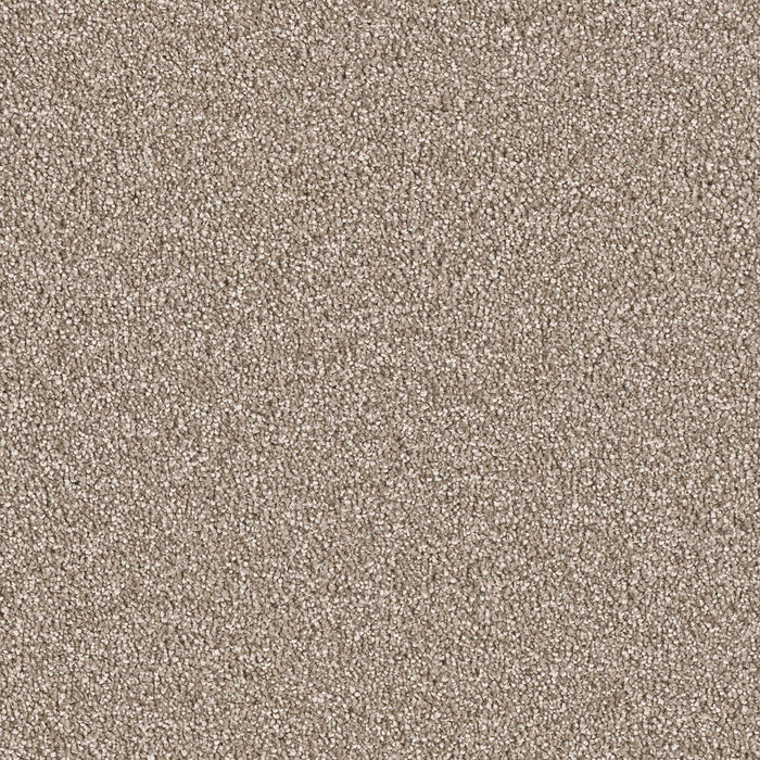 DreamWeaver - East Hampton - Carpet