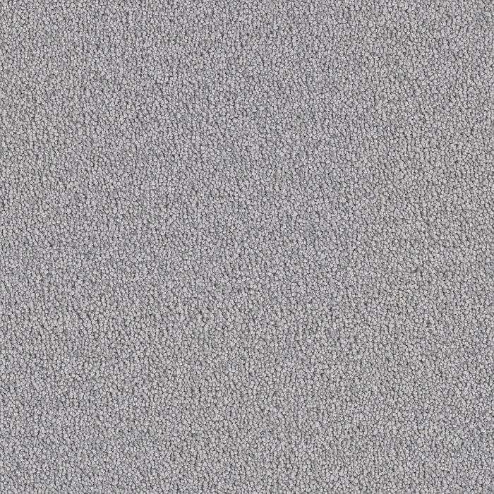 DreamWeaver - East Hampton - Carpet