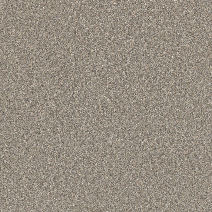 DreamWeaver - Excalibur III - Carpet