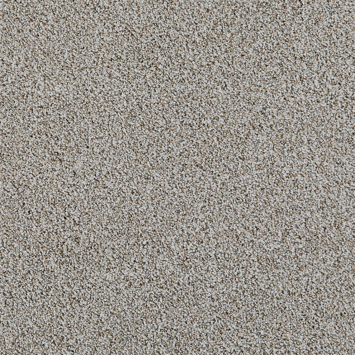DreamWeaver - Excalibur III - Carpet