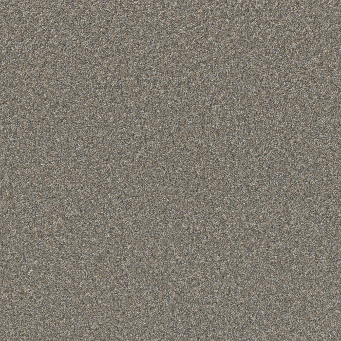 DreamWeaver - Excalibur III - Carpet