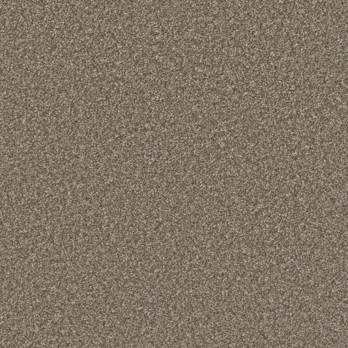 DreamWeaver - Excalibur III - Carpet