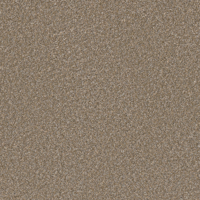DreamWeaver - Excalibur III - Carpet