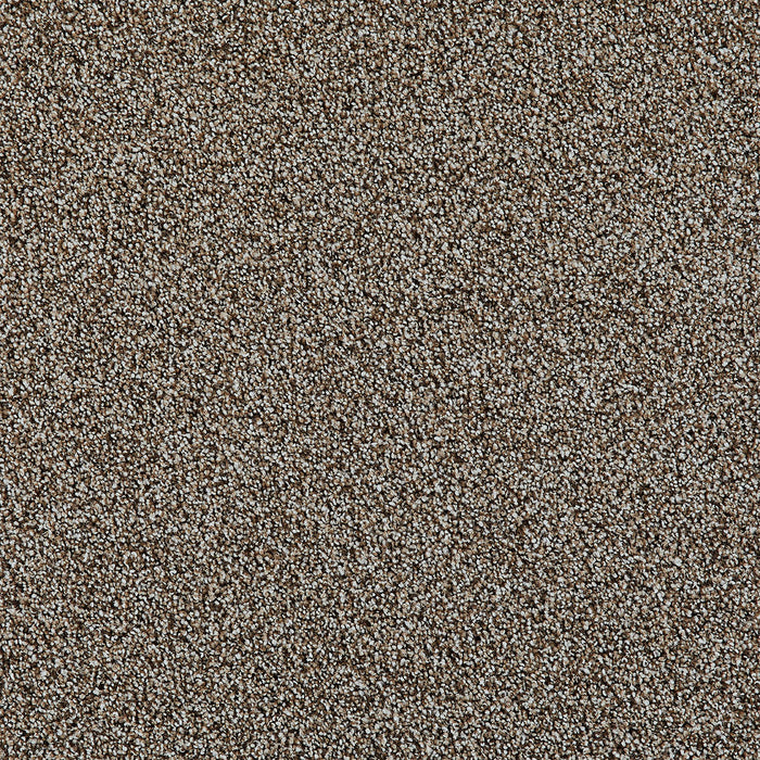 DreamWeaver - Excalibur III - Carpet