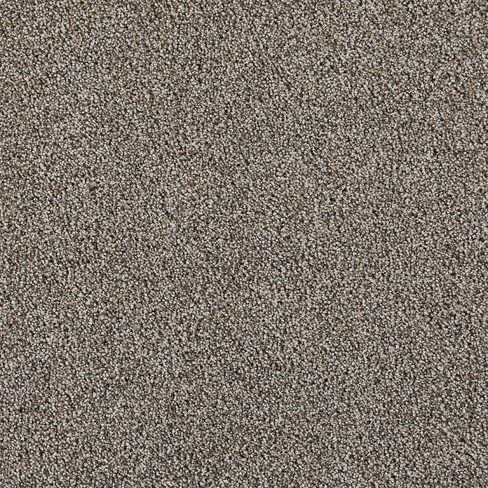 DreamWeaver - Excalibur III - Carpet