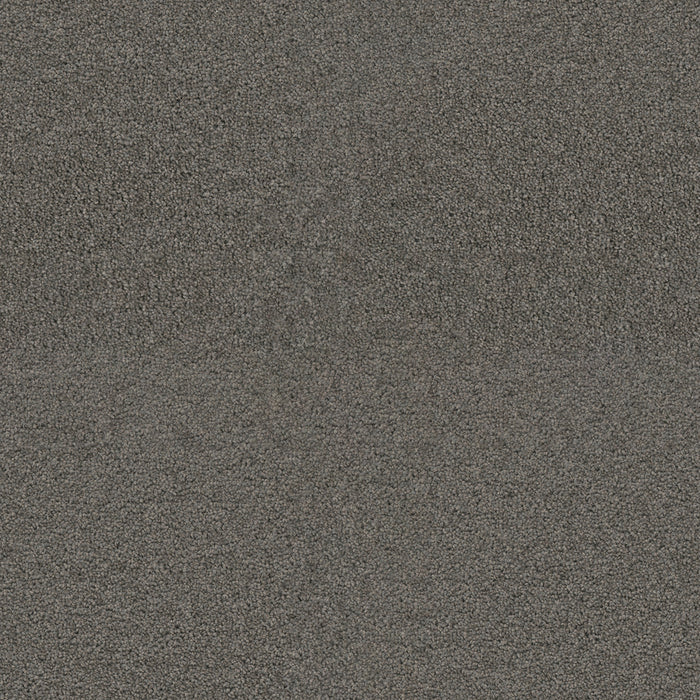 DreamWeaver - Exceptional II - Carpet