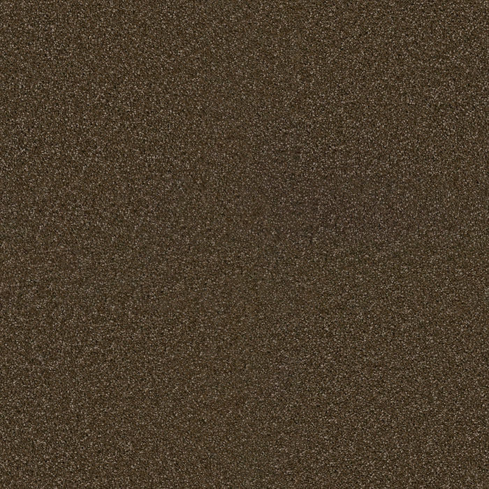 DreamWeaver - Exceptional II - Carpet