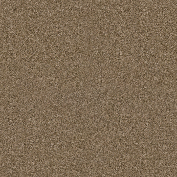 DreamWeaver - Exceptional II - Carpet