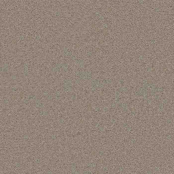 DreamWeaver - Exceptional II - Carpet