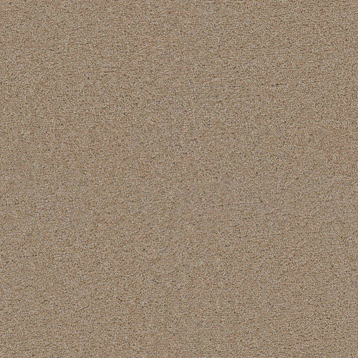 DreamWeaver - Exceptional II - Carpet