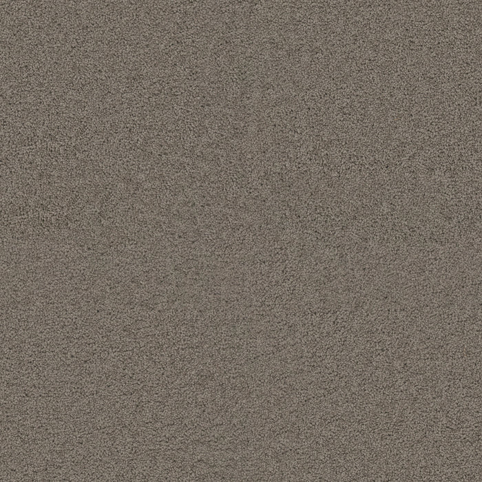 DreamWeaver - Exceptional II - Carpet