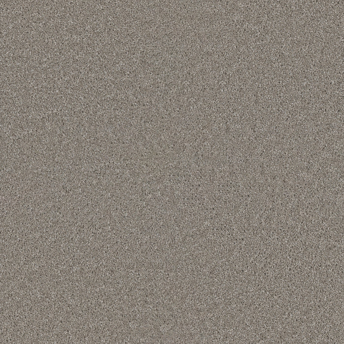 DreamWeaver - Exceptional II - Carpet