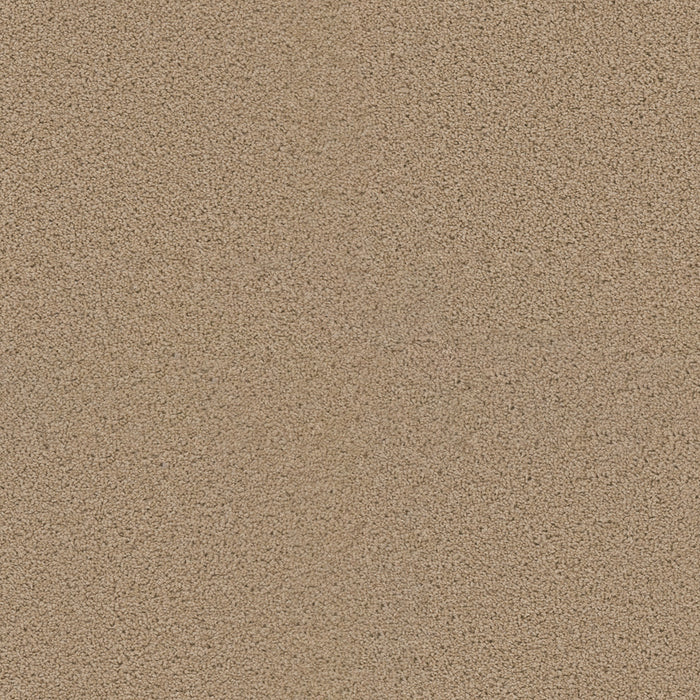 DreamWeaver - Exceptional II - Carpet