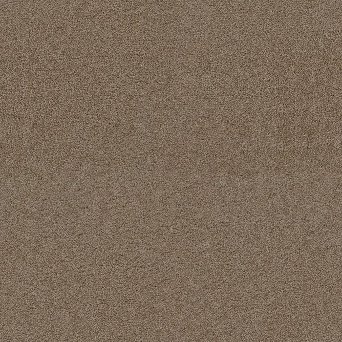 DreamWeaver - Exceptional II - Carpet