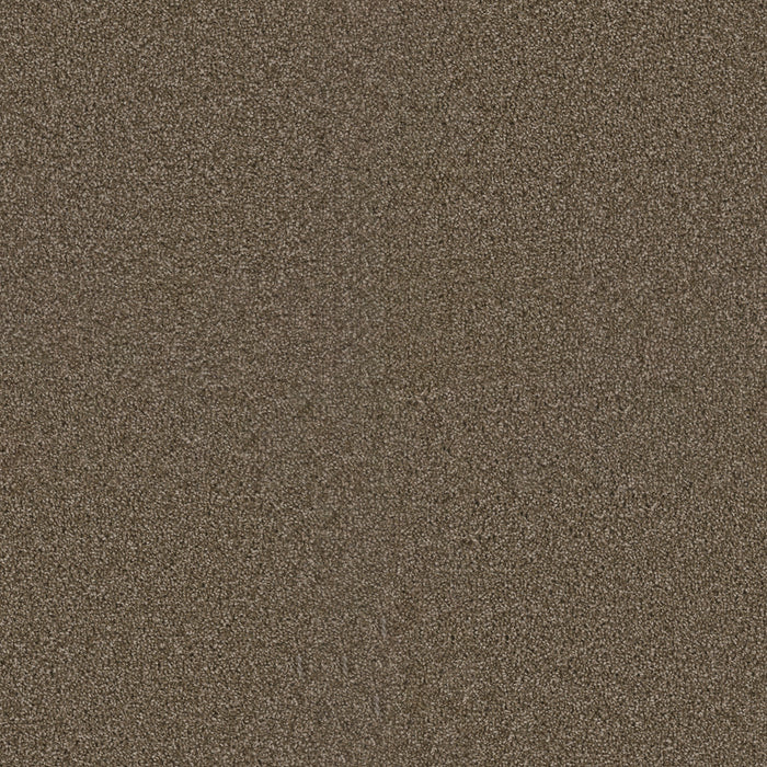 DreamWeaver - Exceptional II - Carpet