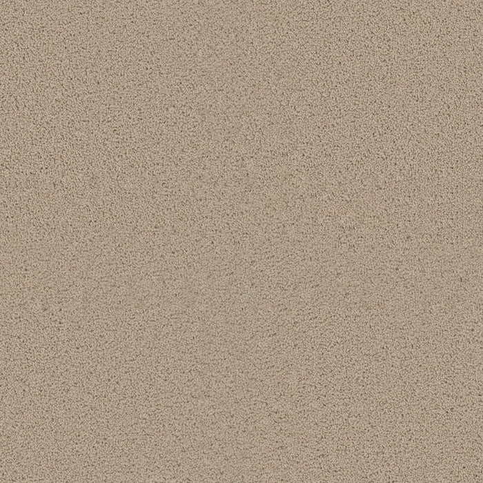 DreamWeaver - Exceptional II - Carpet