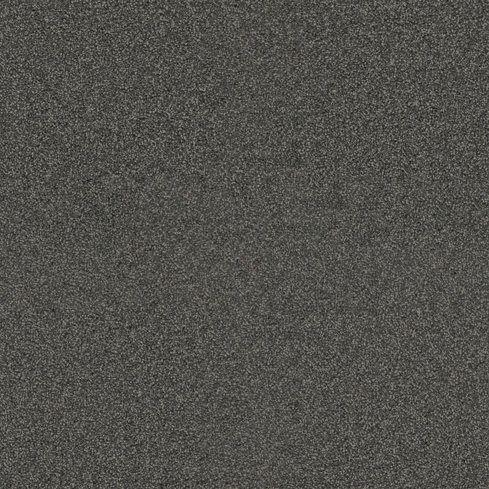 DreamWeaver - Exceptional II - Carpet