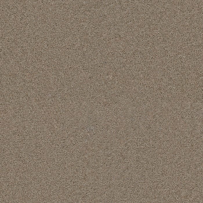 DreamWeaver - Exceptional II - Carpet