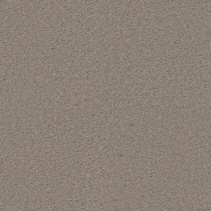 DreamWeaver - Exceptional II - Carpet