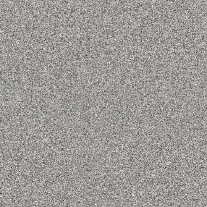 DreamWeaver - Exceptional II - Carpet